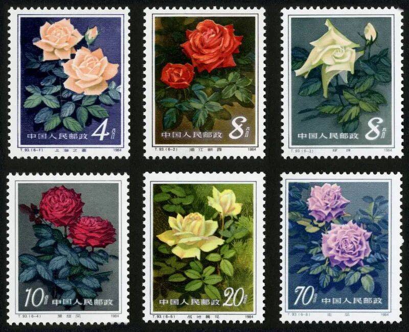 收藏邮币的真正魅力：它是艺术而非投资工具